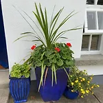 Rathjarney Gatelodge Сasa de vacaciones Wexford