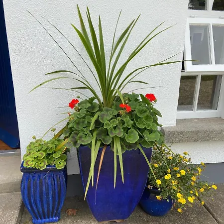 Rathjarney Gatelodge Semesterbostad Wexford