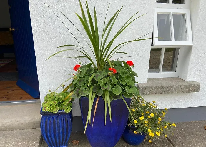 Rathjarney Gatelodge Сasa de vacaciones Wexford